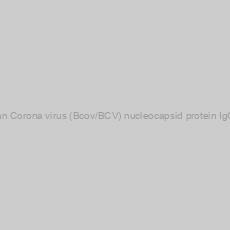 Image of Recombivirus Human Corona virus (Bcov/BCV) nucleocapsid protein IgG ELISA kit, 96 tests